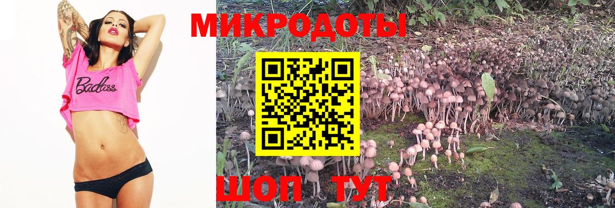 Псилоцибиновые грибы мухоморы Михайловка