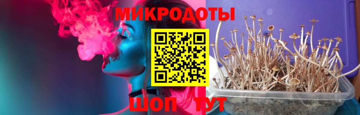 Псилоцибиновые грибы GOLDEN TEACHER  Вход с VPN  Михайловка 